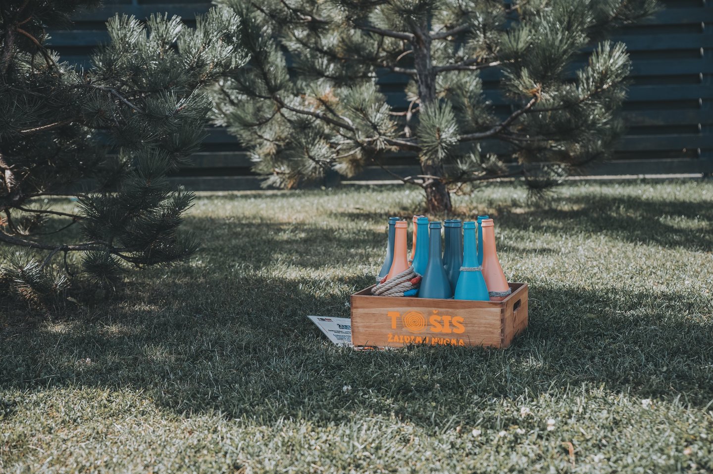 Žiedynės žaidimas – žaidimų nuoma Klaipėdoje.