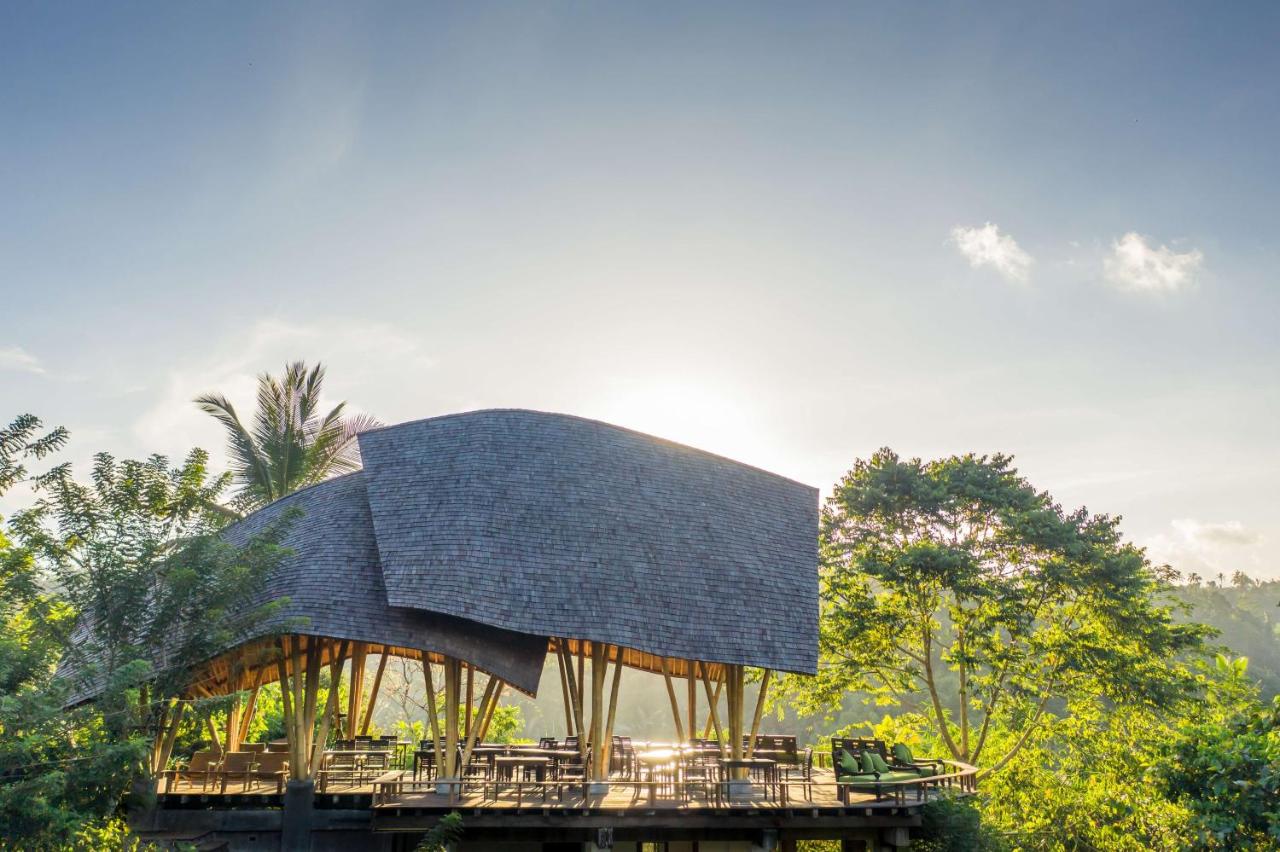 Banyan Tree Escape Buahan