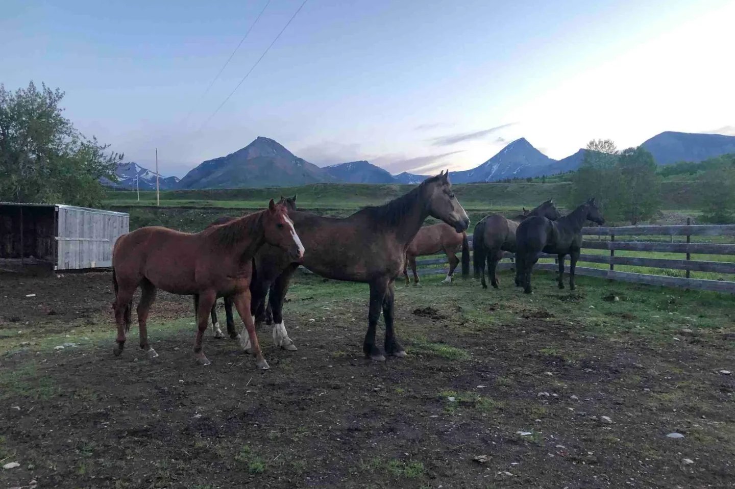 Getting ready for a horseback ride at Thanksgiving Ranch.