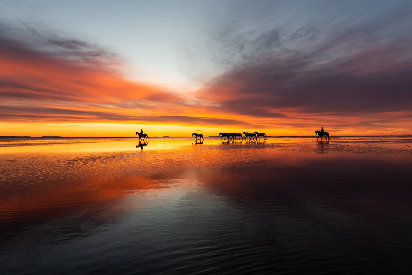 Silhouetted horses and riders walking across a salt flat during a vibrant orange and purple sunset.