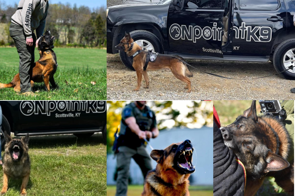 OnpointK9