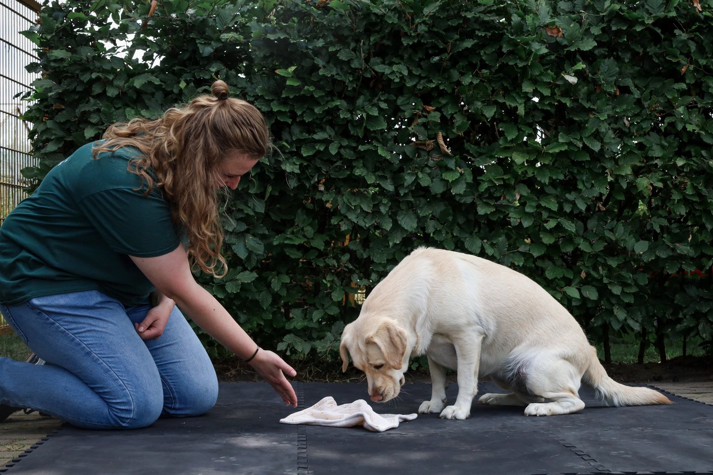 Hersenwerk begeleiding