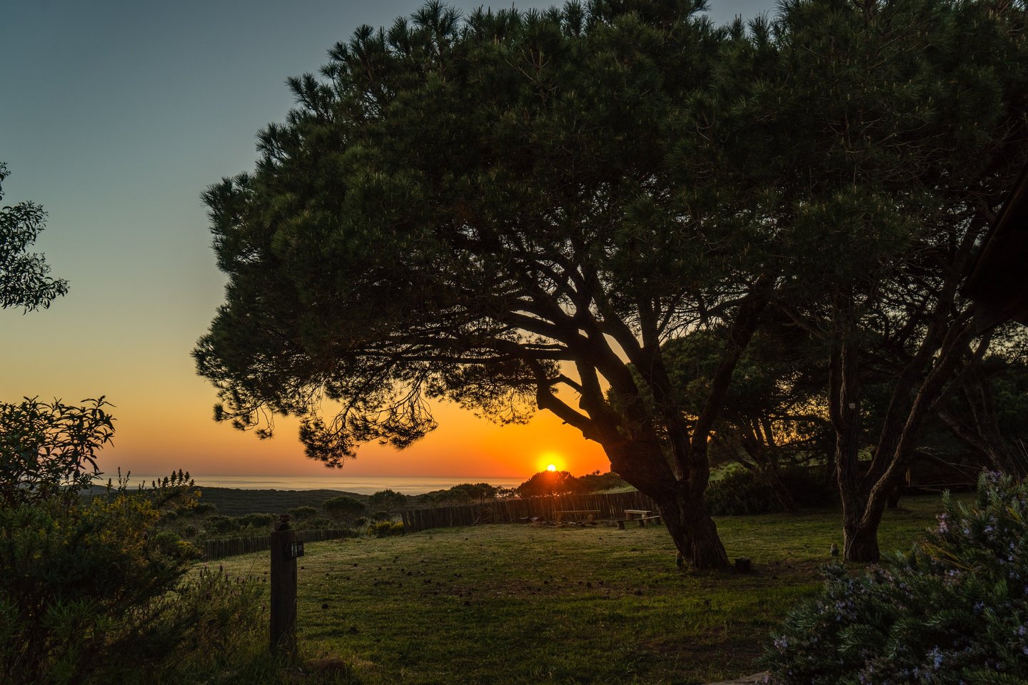 Sunset over the ocean from a hilltop in Algarve, Portugal.