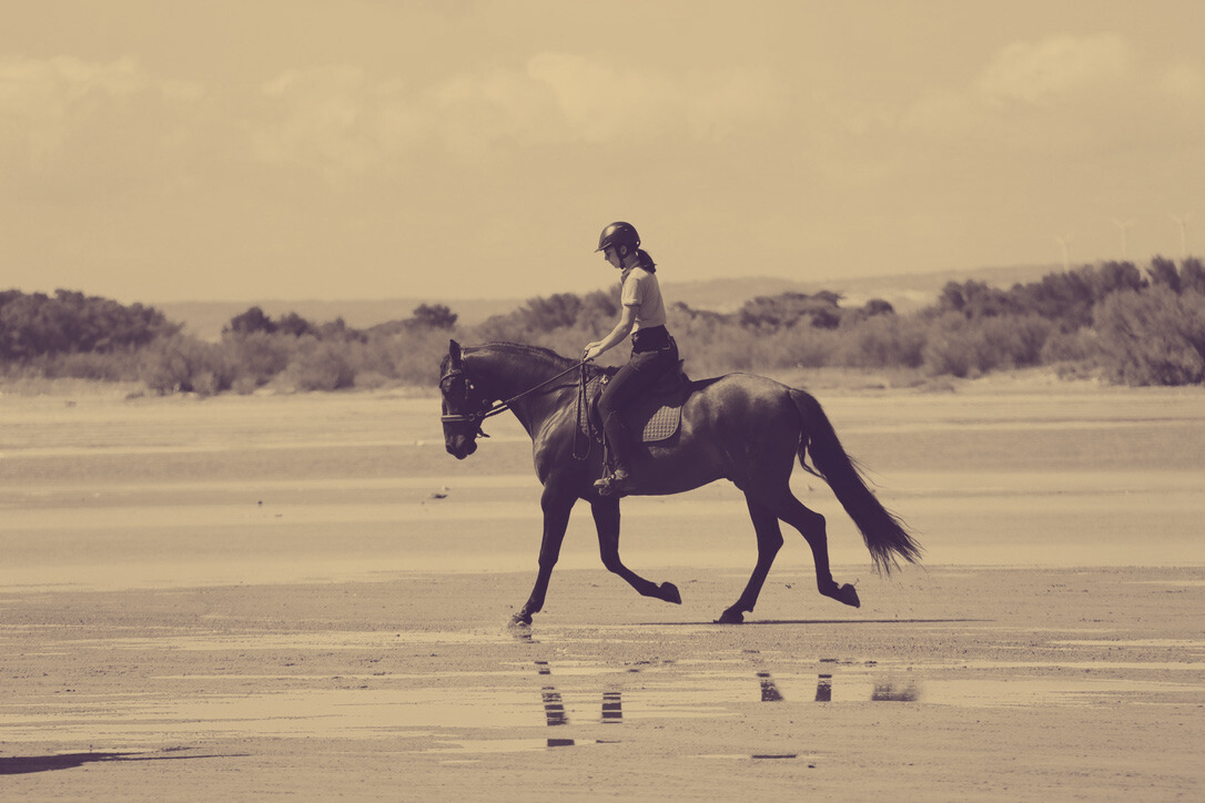 Massage cheval mobilité confort