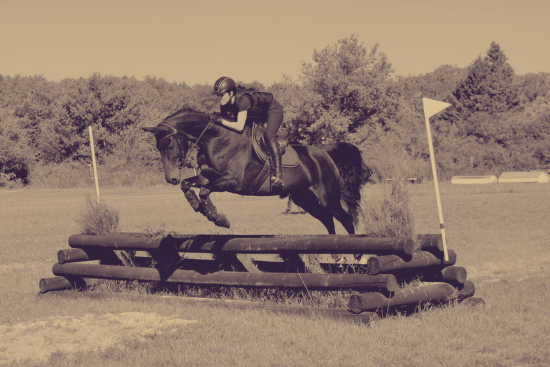 Massage cheval sportif