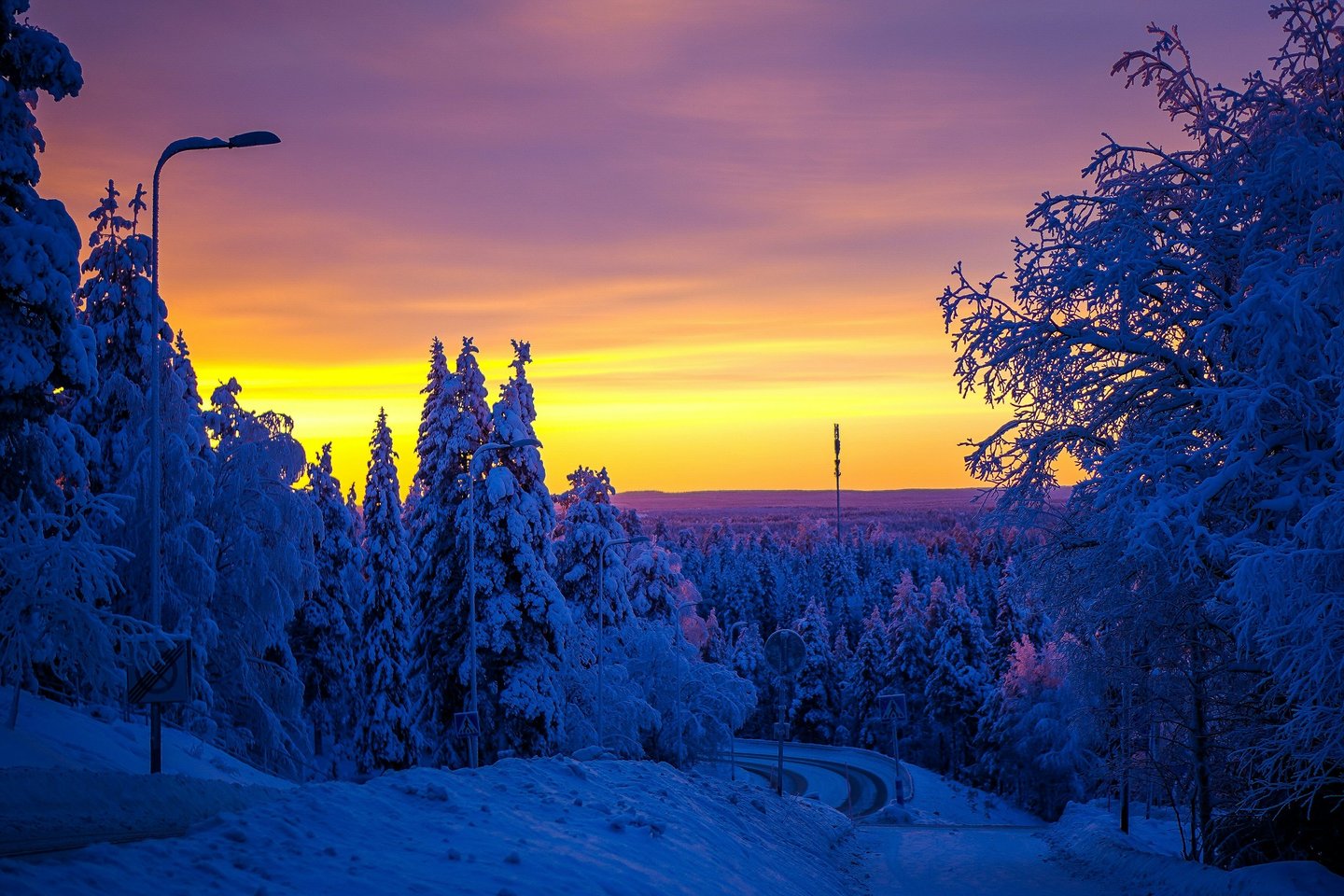 snow land
