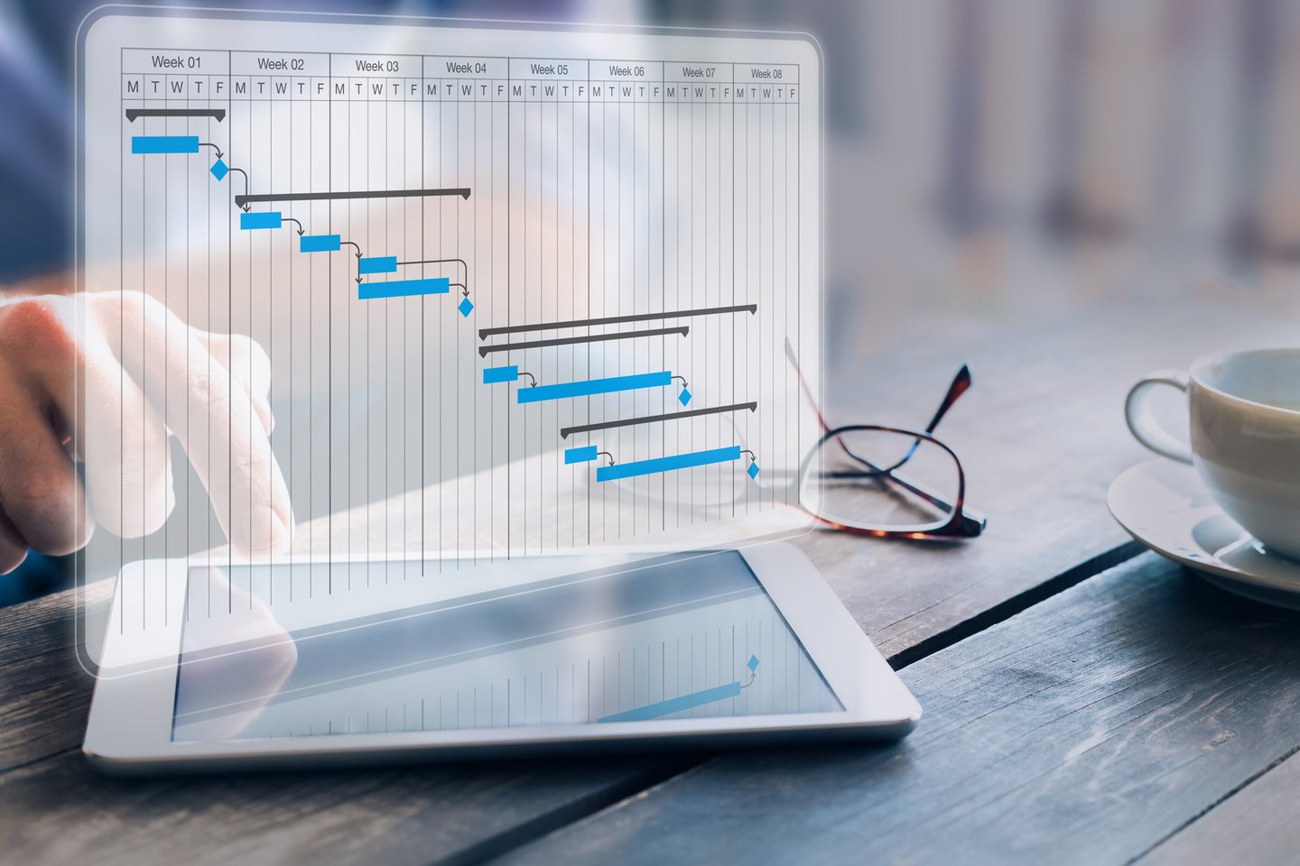 Project management professional for software implementations