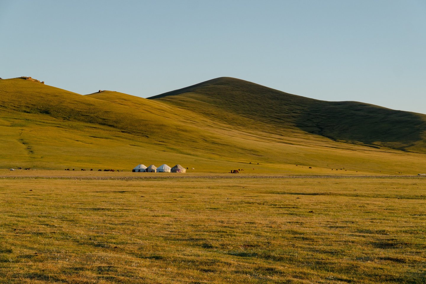 Yurten in der weiten Steppe