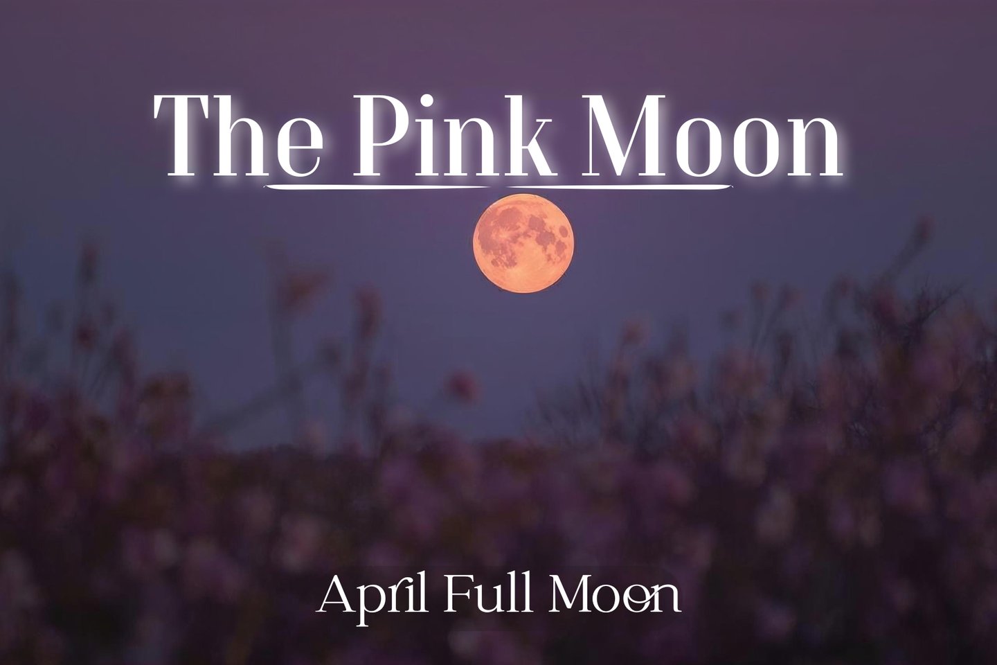 The Pink Moon (April’s Full Moon)