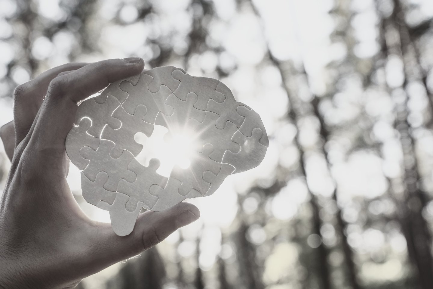 a person holding a brain shaped puzzle with a missing piece through which the sun shines