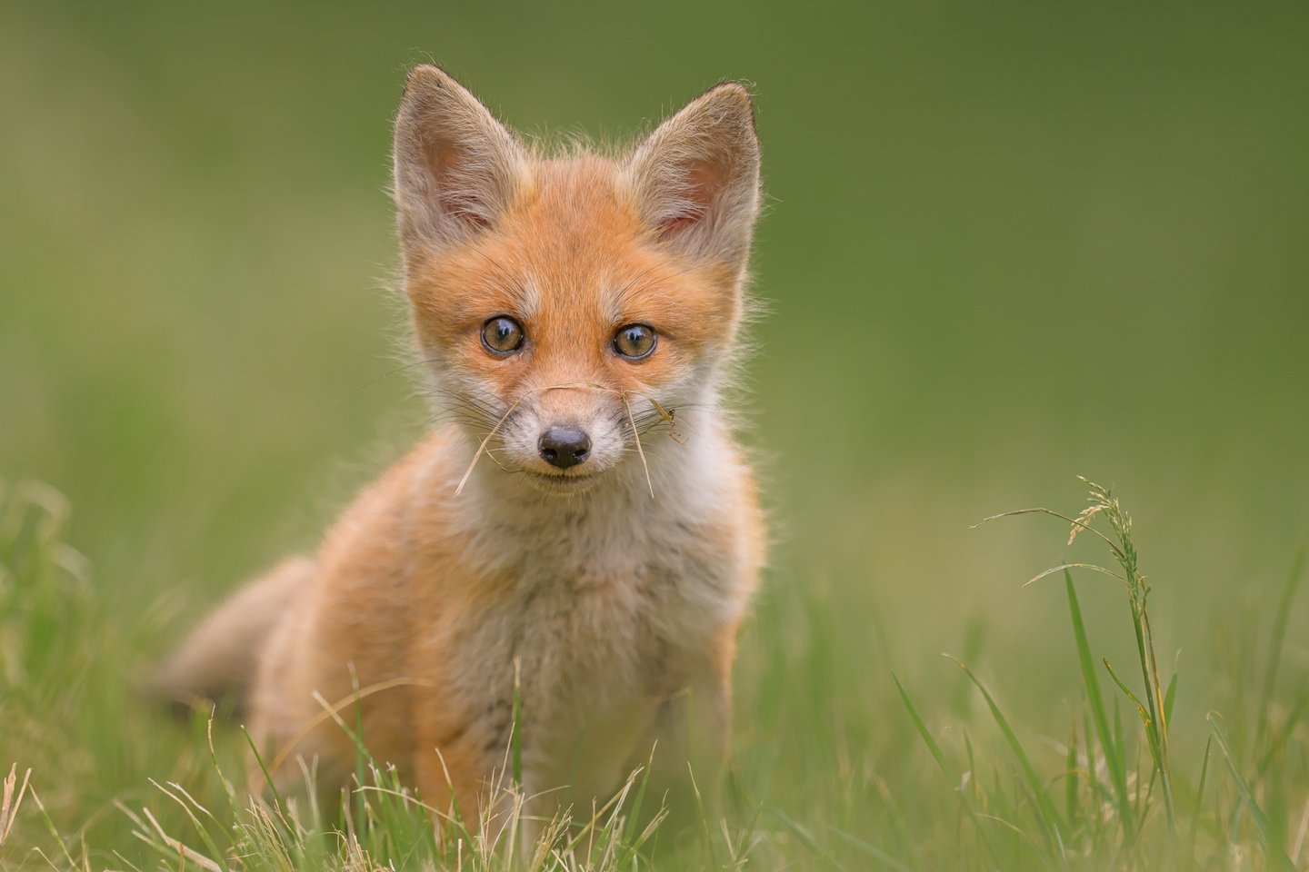 Tirage & décoration murale