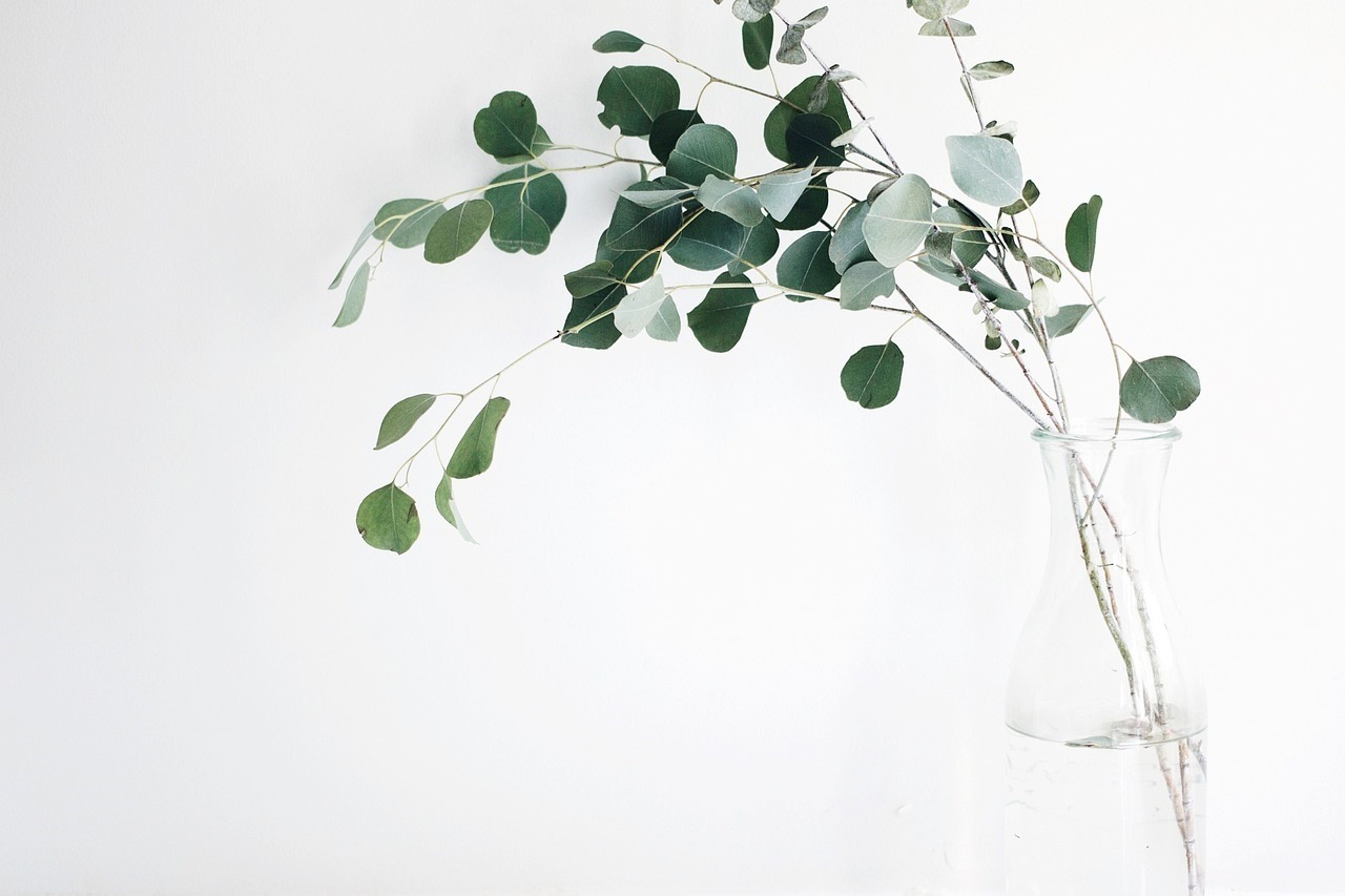 image suggérant la première séance et la bienveillance