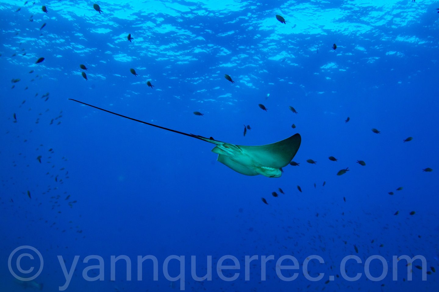 L'Estartit - ESPAGNE