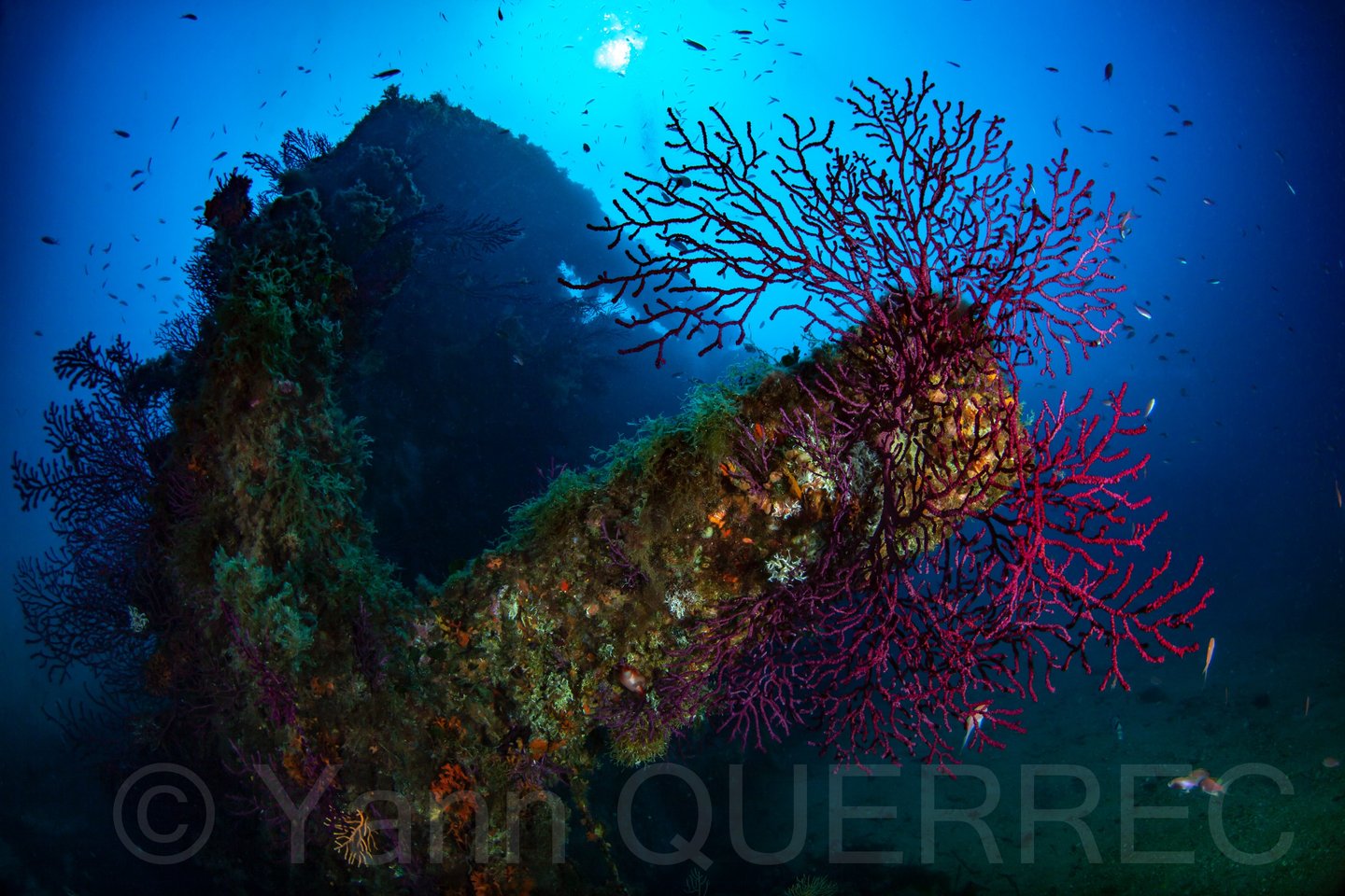 Le Chaouen - Marseille - FRANCE