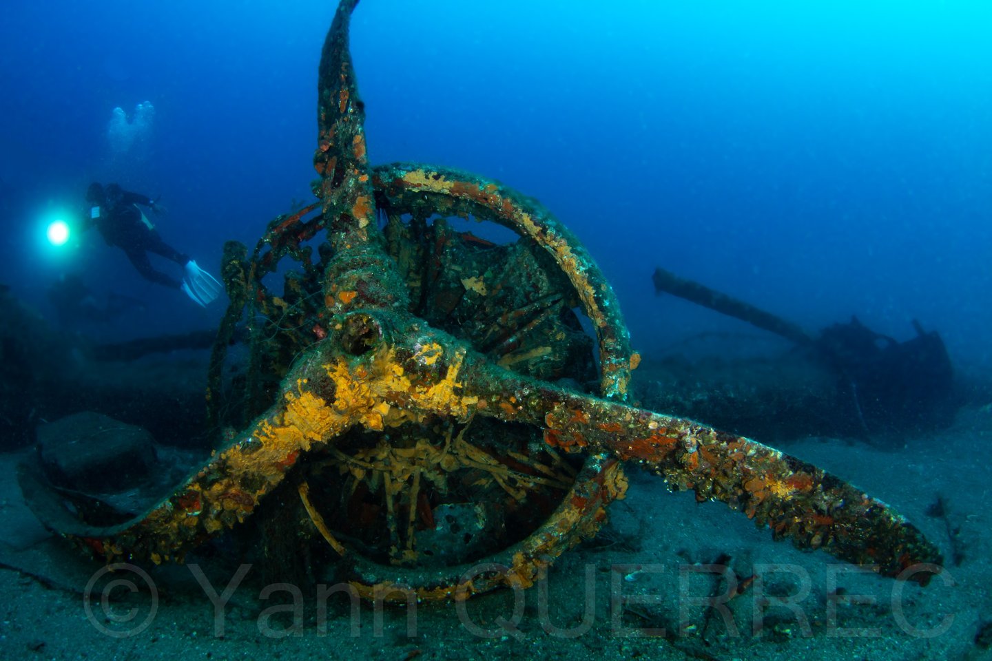 Le Dornier - Toulon - FRANCE
