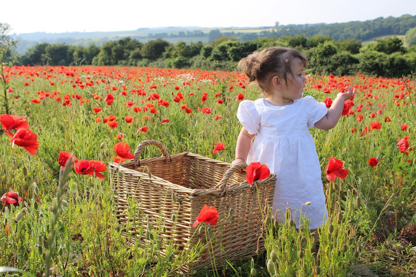 Séance photo d'un enfant qui se trouve dans un champ de coquelicots