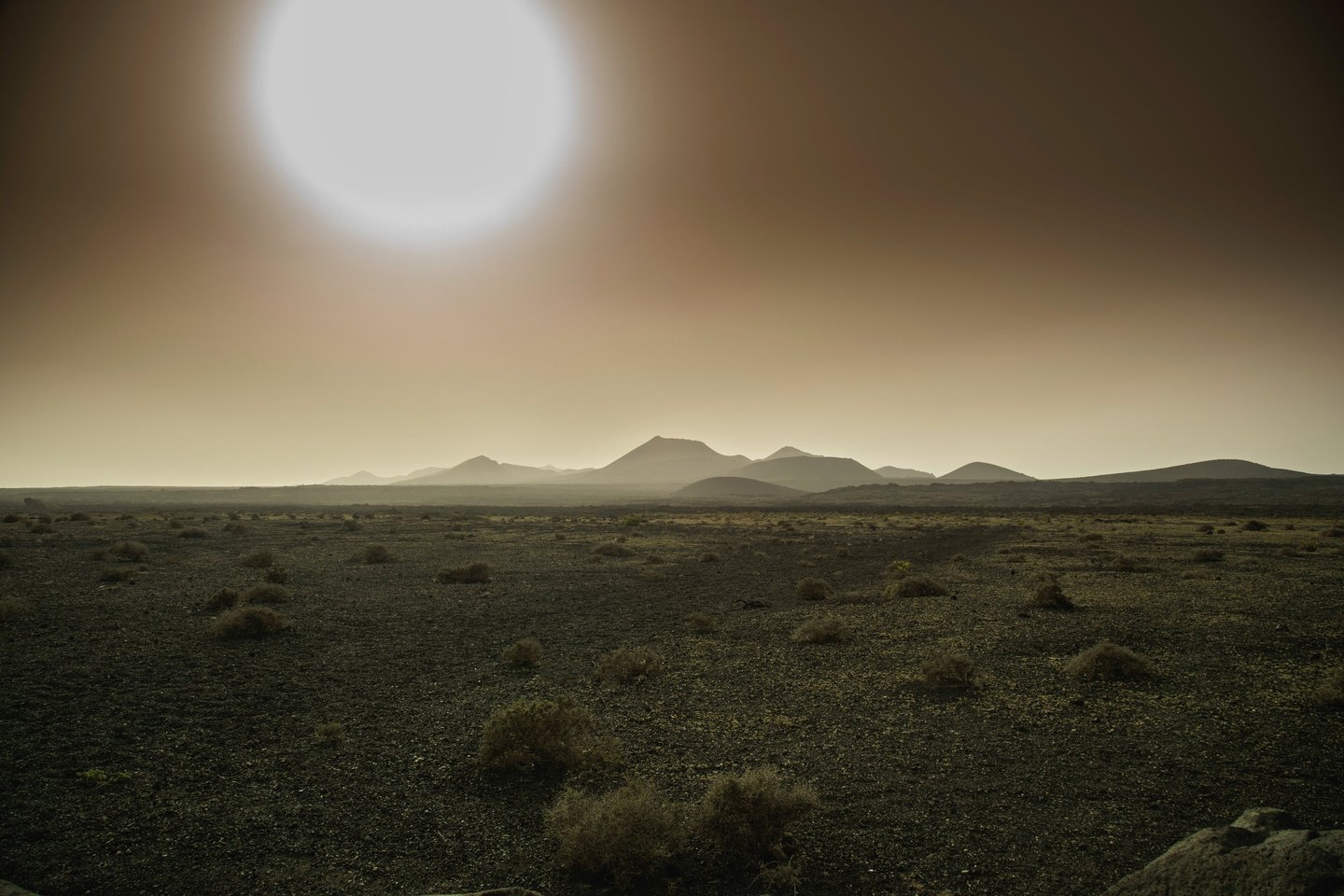 a desert scene with a sun setting in the background