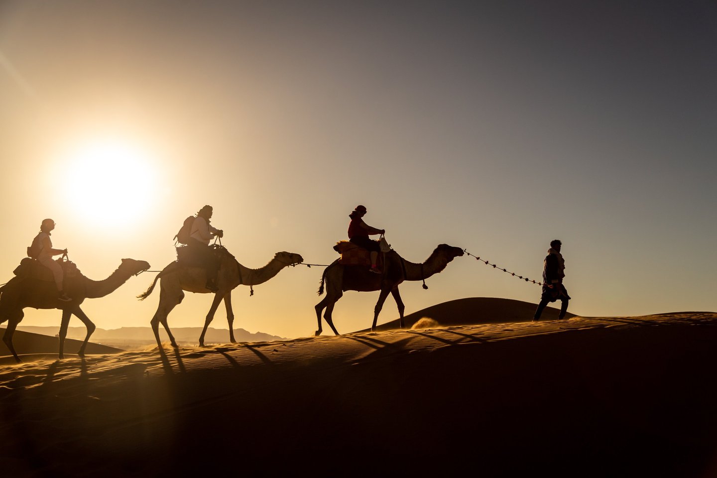 a group of people riding camels in the desert