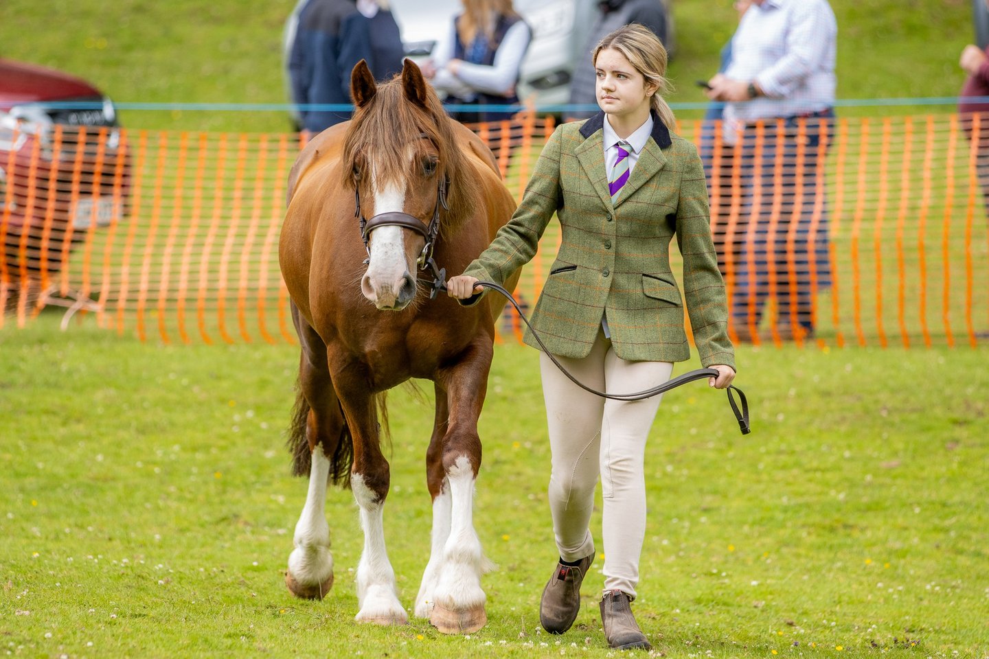 Girl in a leading pony class at Cwmdu Show