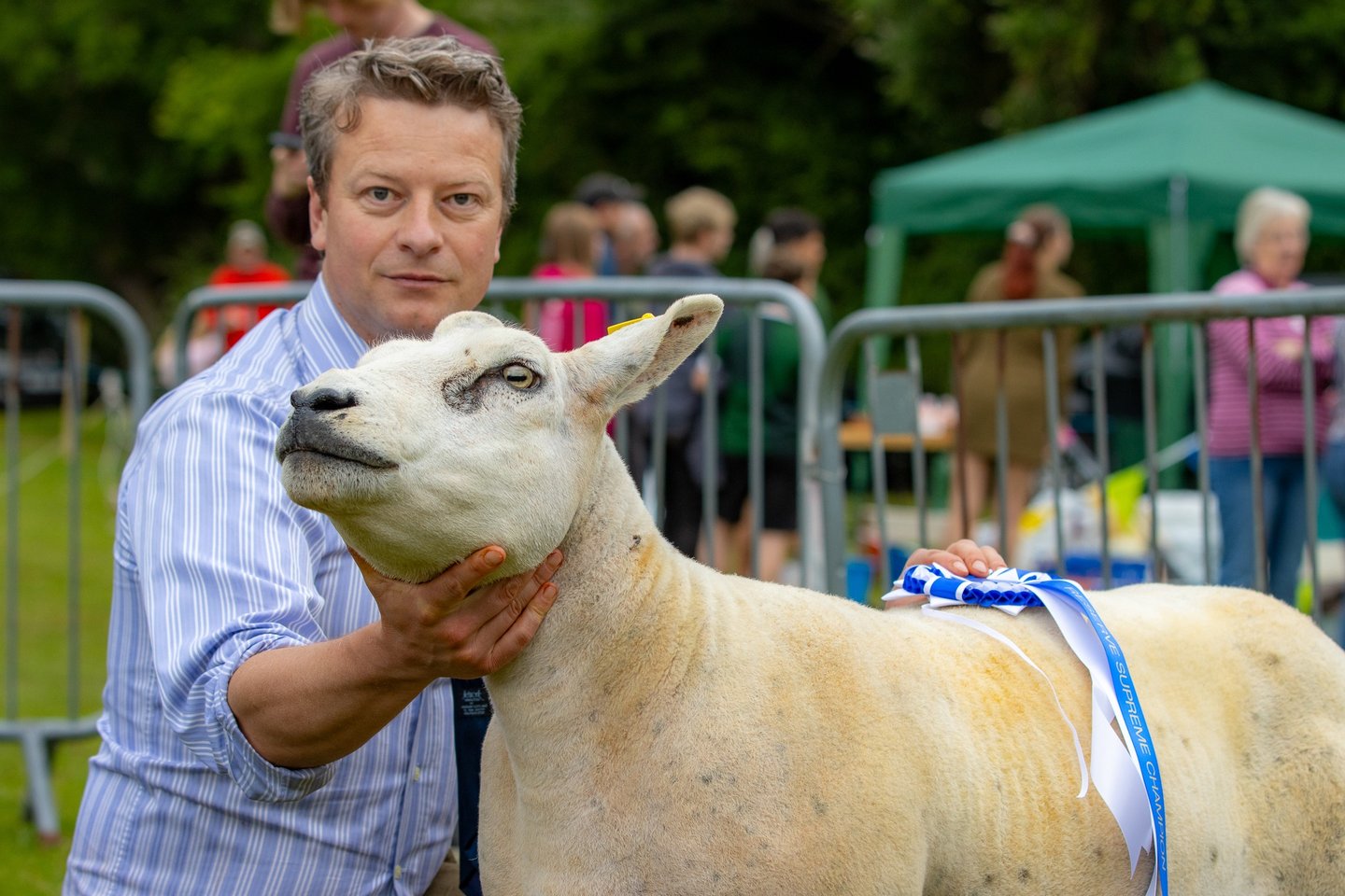 Champion Sheep Winner at Cwmdu Show 2024