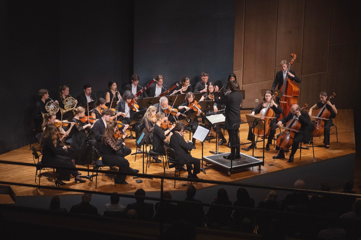 Süddeutsches Sinfonieorchester