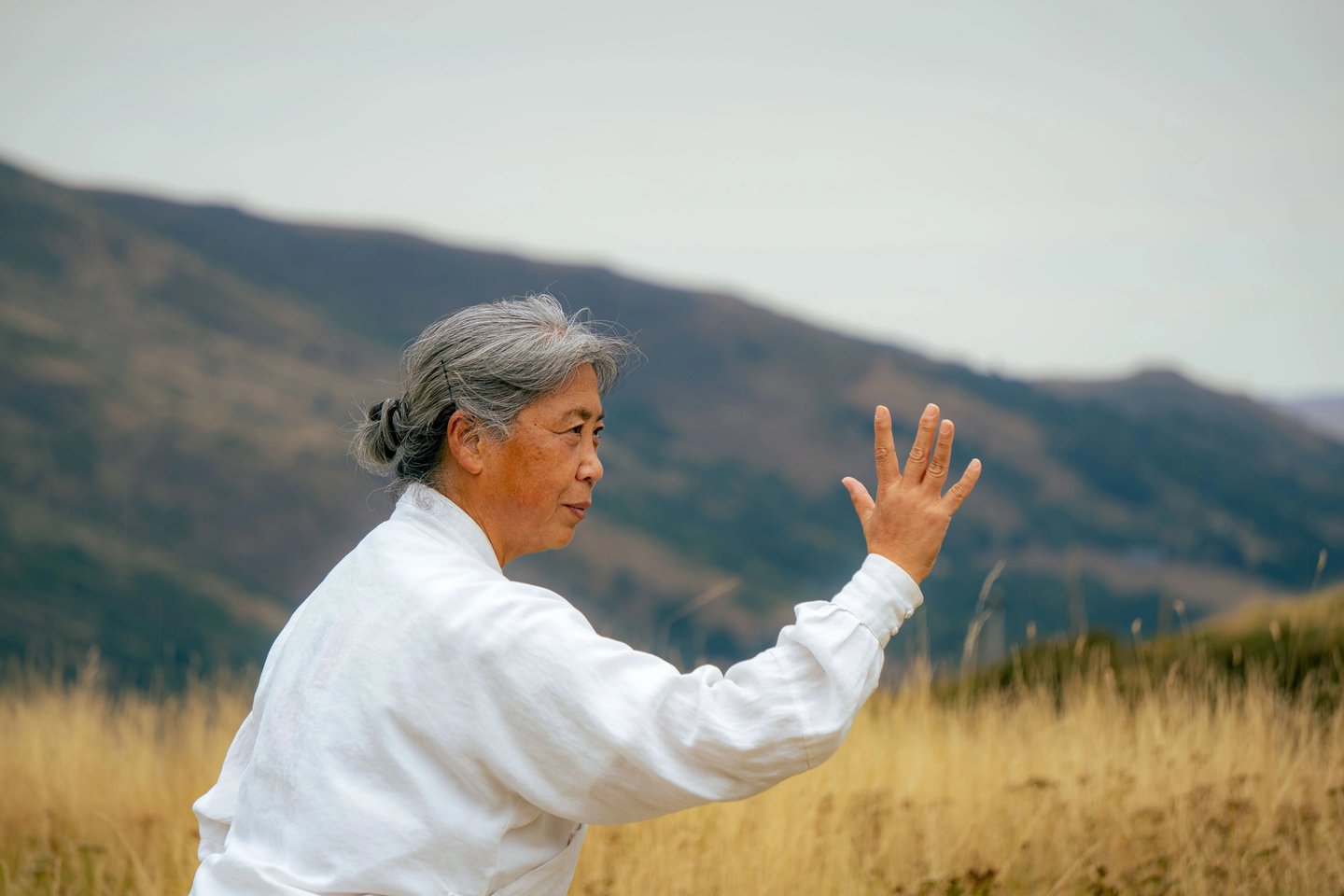 Séminaire de Tai-Chi