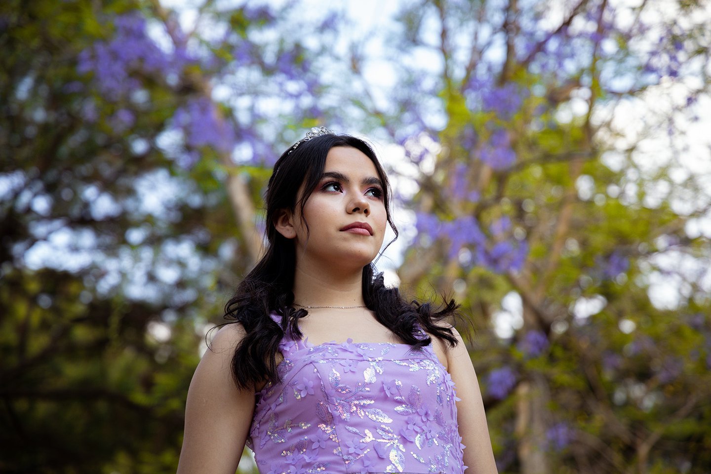 paquetes de xvs años