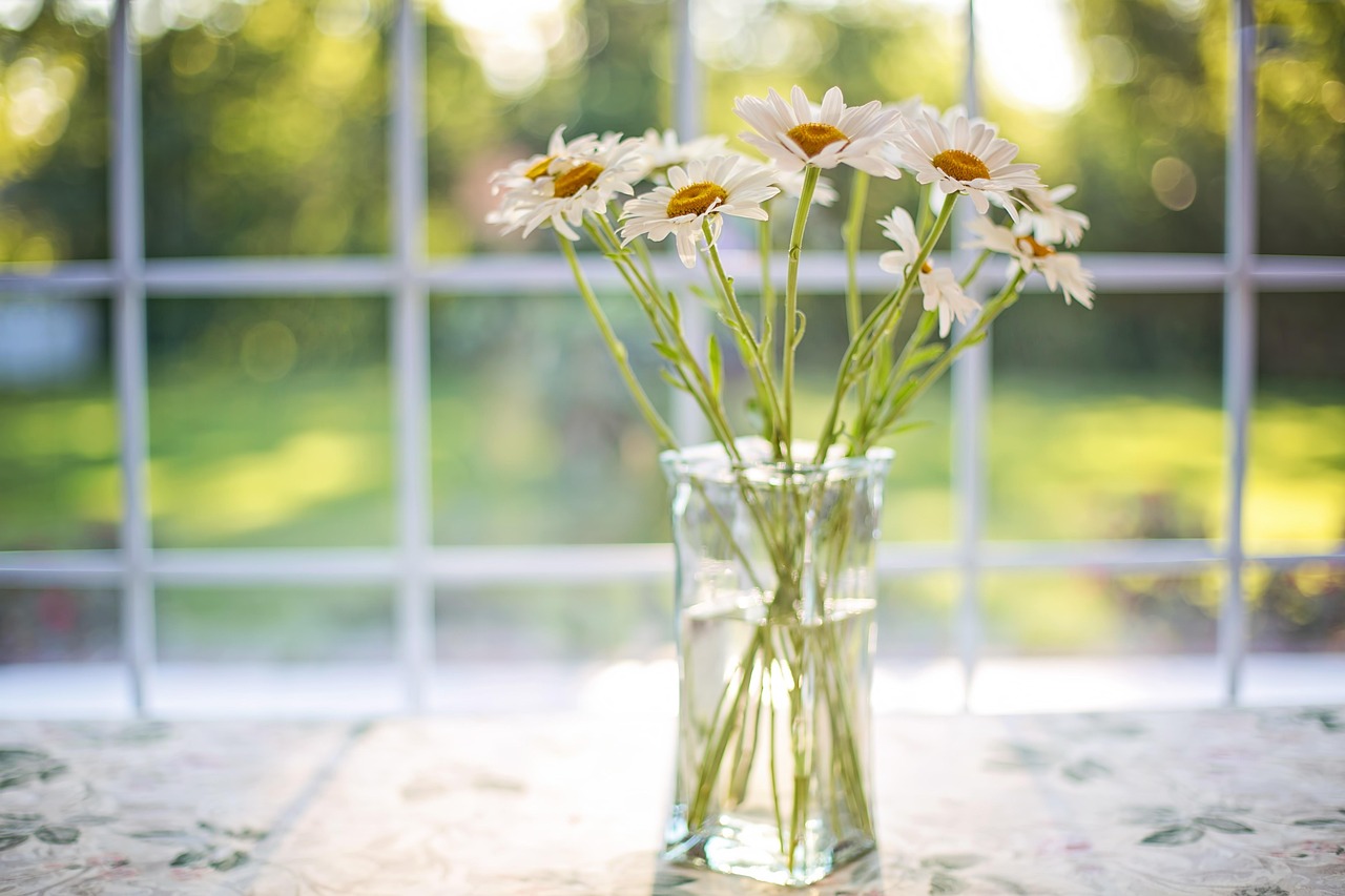 Daisy flowers in front of a clean sunlit window, Elegant Restorations San Antonio