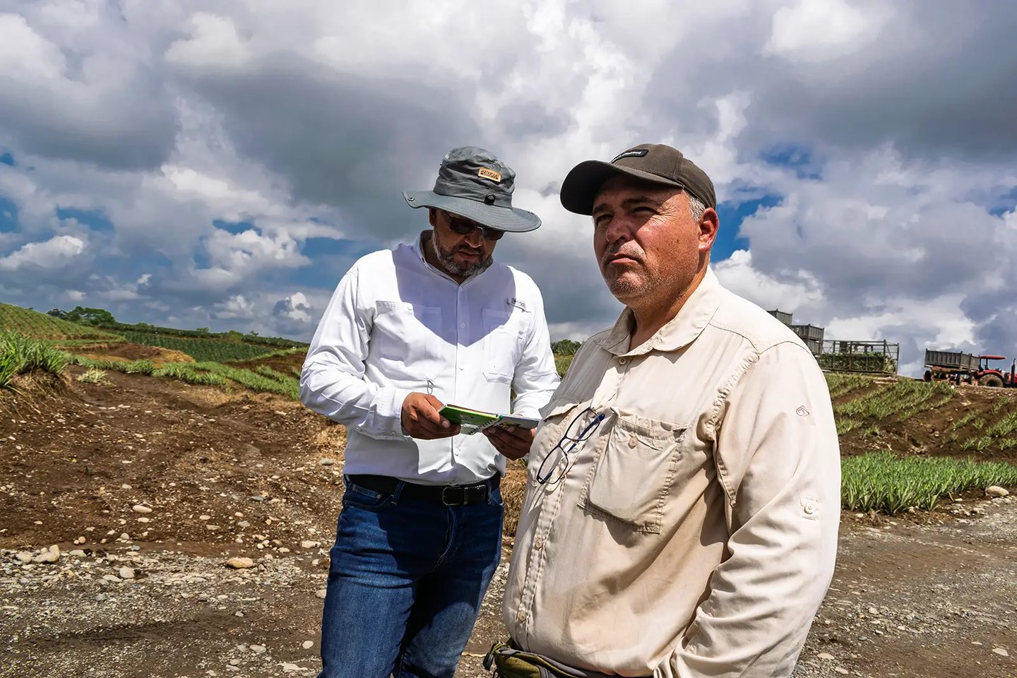 Dos hombres agrónomos parados de forma profesional en un campo de piñas en Ecuador