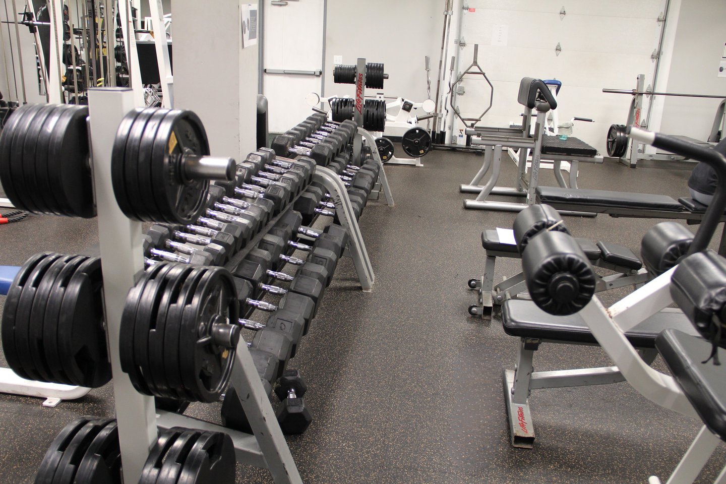 free weights area