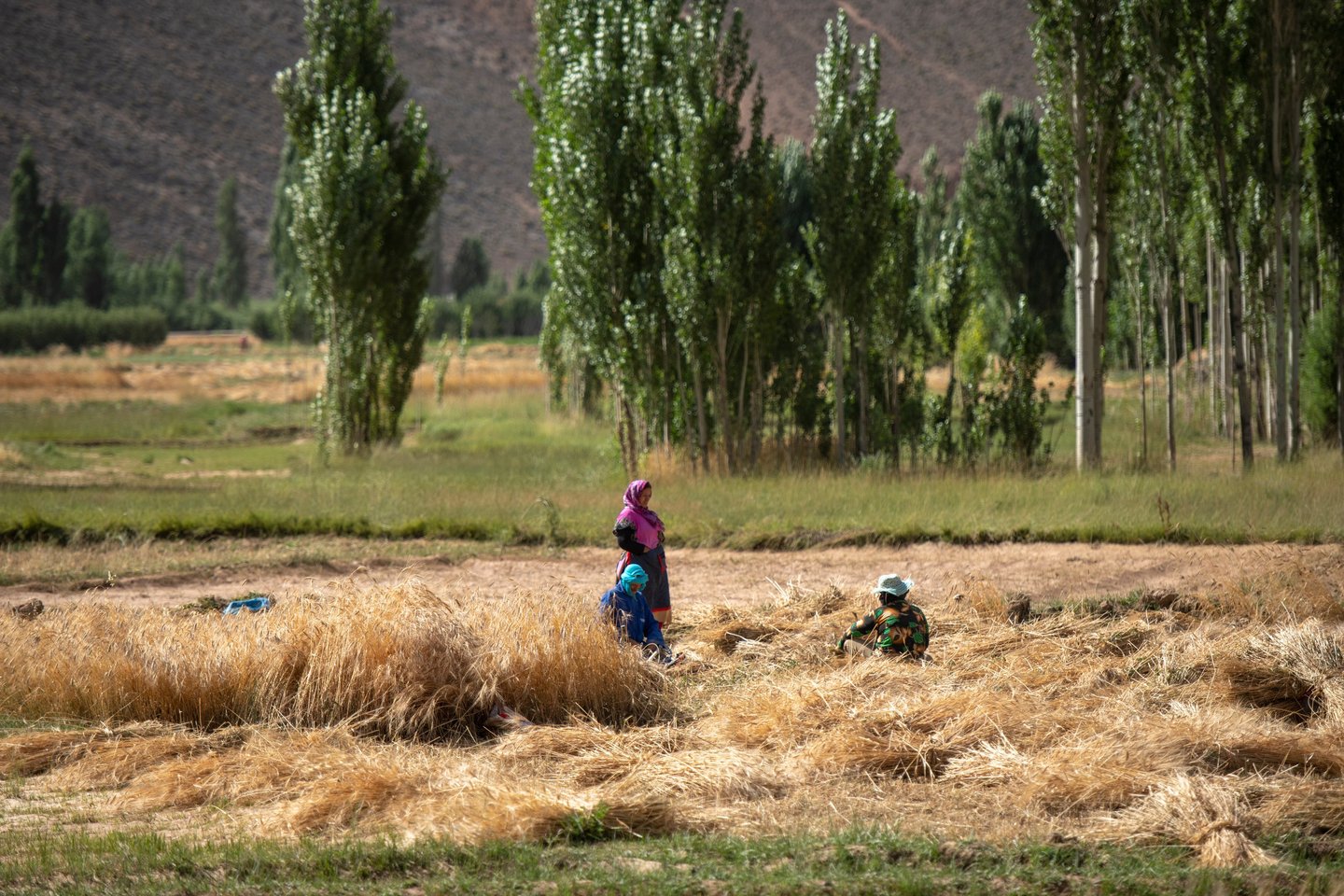 Rural women in agriculture