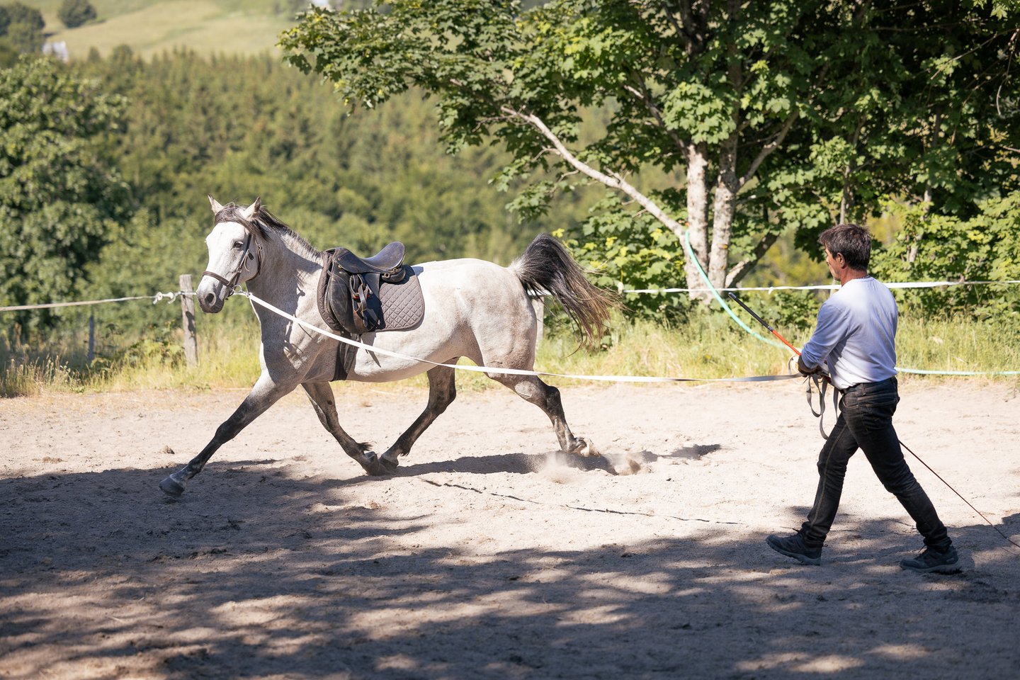 Dressage équestre à La Luc