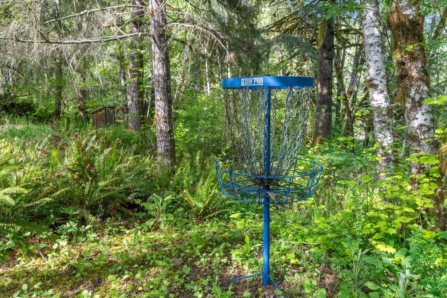Professional Exterior Photography - Lifestyle Disc Golf & Outhouse