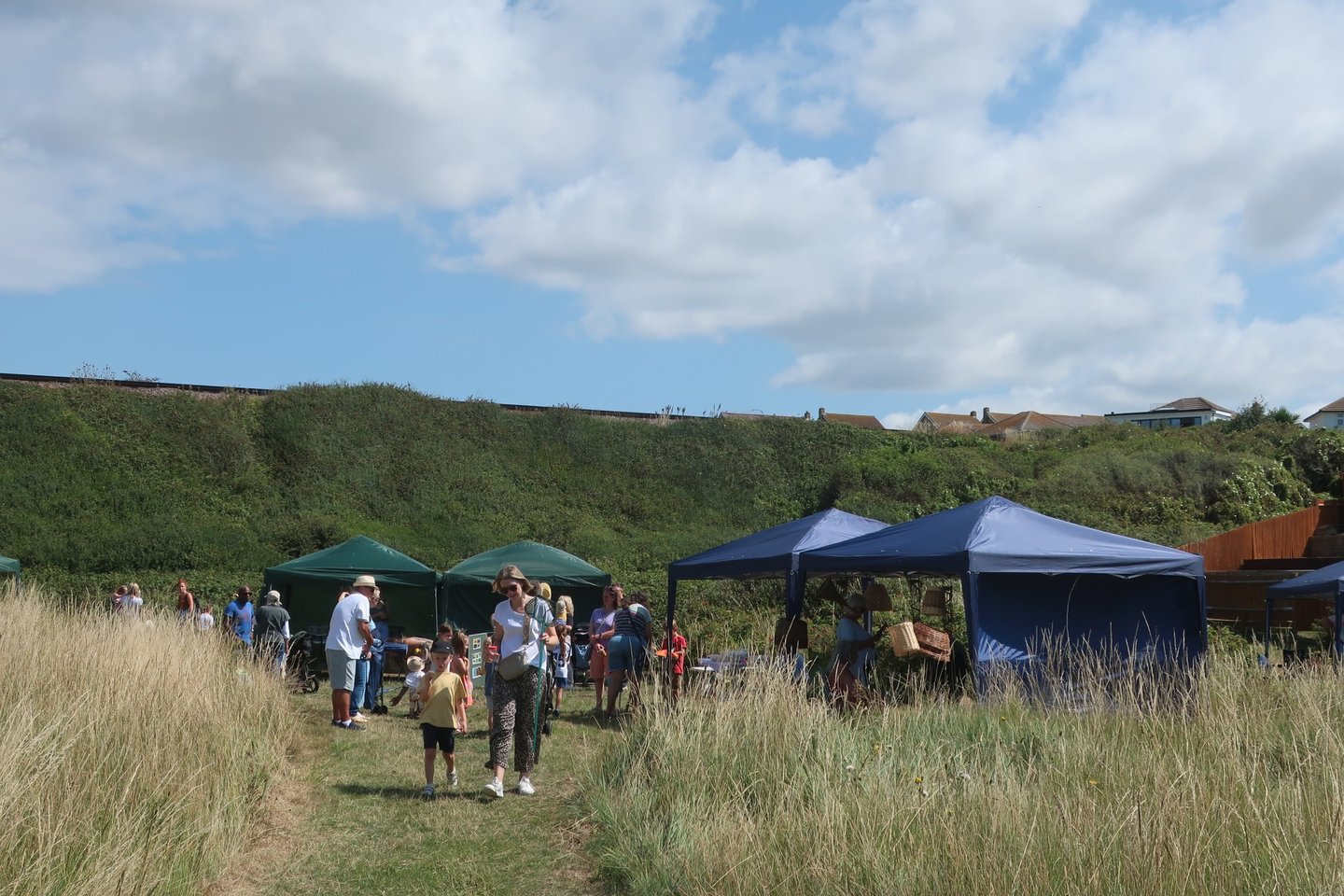 Visitors to Brickfield Summer Wildlife Fair