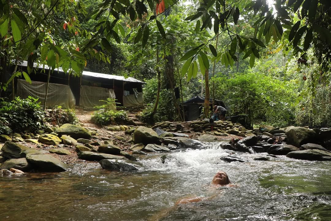 Bukit Lawang Tour Package with 4 day jungle trek through Gunung Leuser National Park.