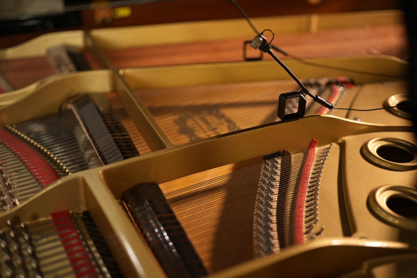 yamaha g5 microfonato con neumann all'avangarage recording studio pesaro e urbino