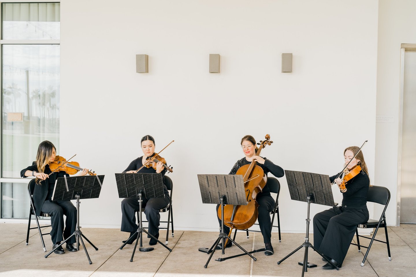 Professional string quartet performing for marriage proposal at outdoor venue