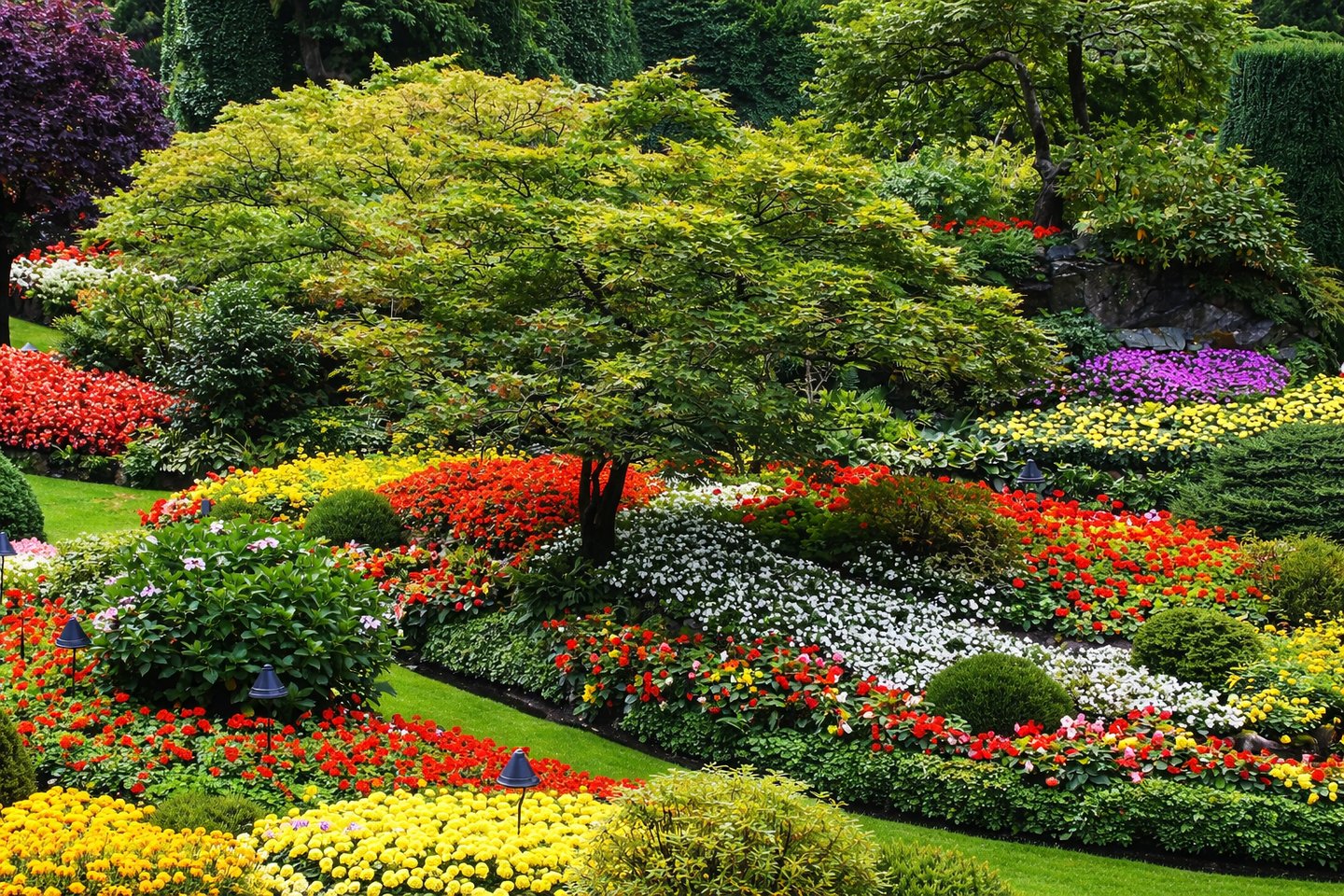 Colourful flower garden with softscape planting design – Yie Yang Landscape
