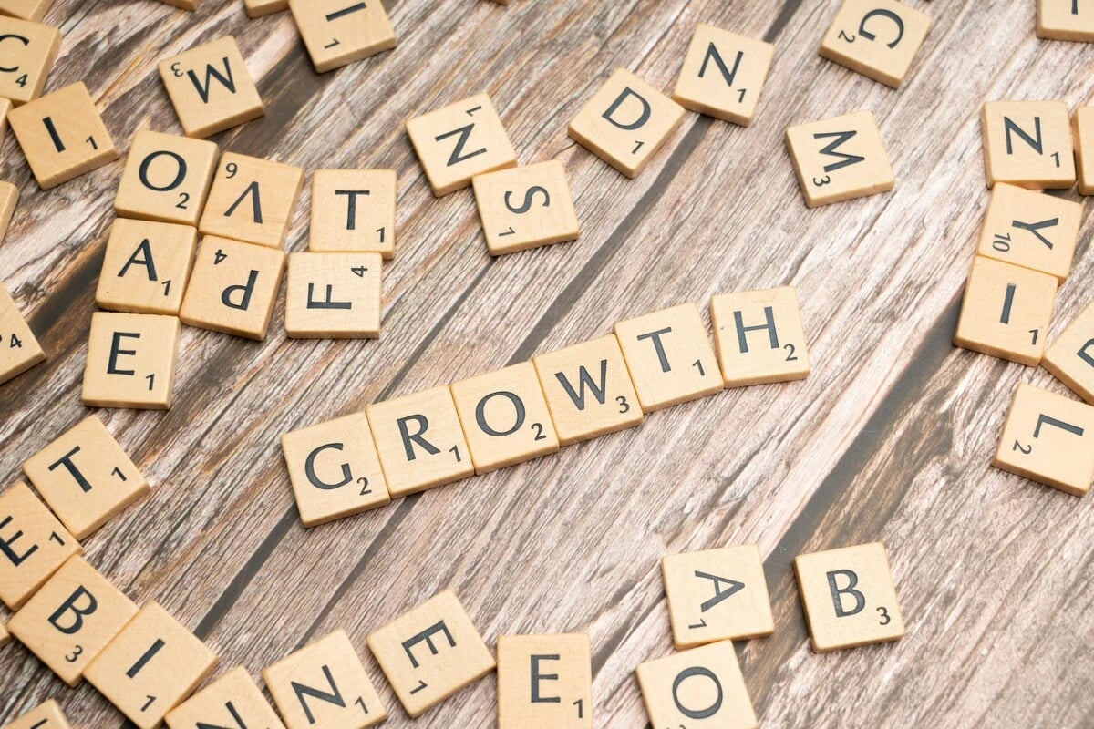 Image of the text growth in puzzle pieces