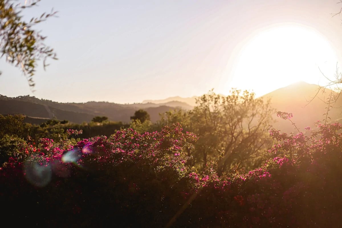 Sunset over flowering gardens and rolling hills