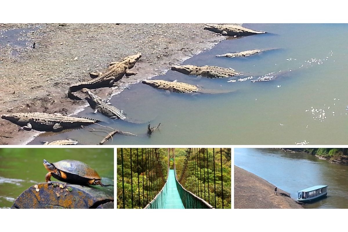 Autora em passeio em Puntarenas, Costa Rica, cercada por vida selvagem, floresta e natureza