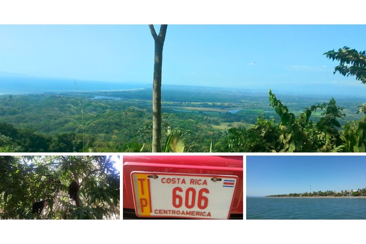 Mar e floresta densa com vida selvagem em passeios pela Costa Rica