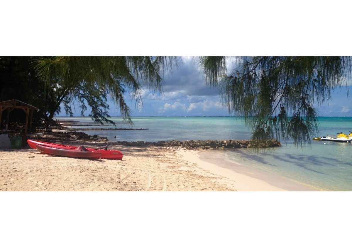 Barcos de passeio ancorados à beira-mar em Grand Cayman, com palmeiras e o litoral ao fundo.