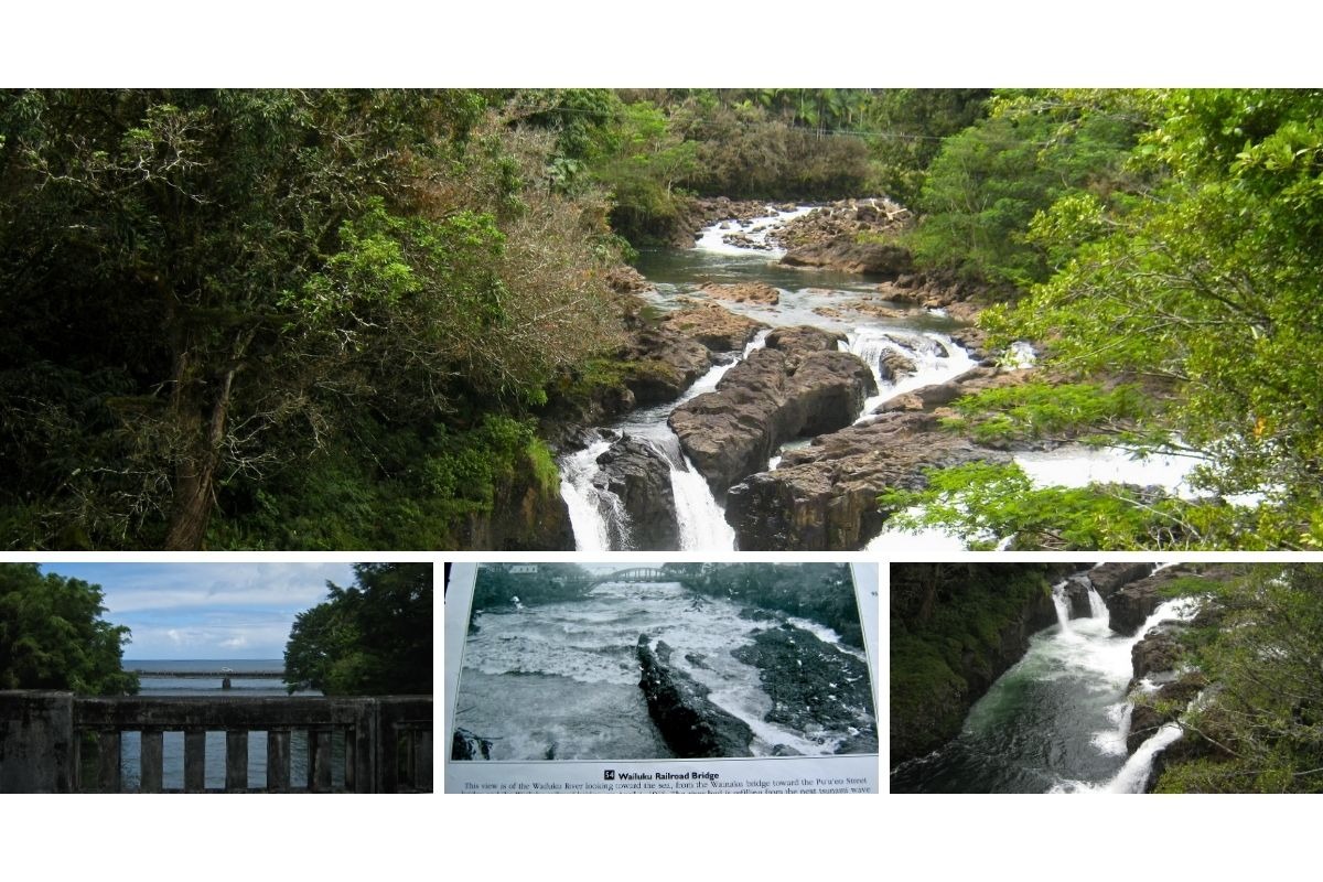 Rio Wailuku atravessando a cidade de Hilo, com vegetação e construções ao redor