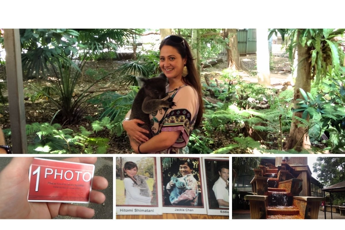 Visita ao Lone Pine Koala Sanctuary em Brisbane com quadro de celebridades