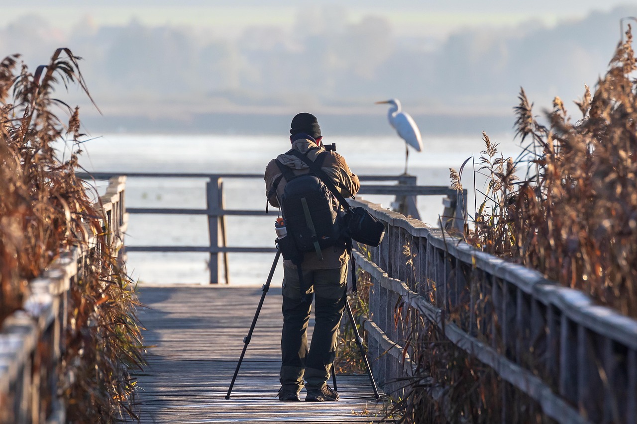 Focus and Foresight: Business Lessons Photography Teaches About Patience and Vision