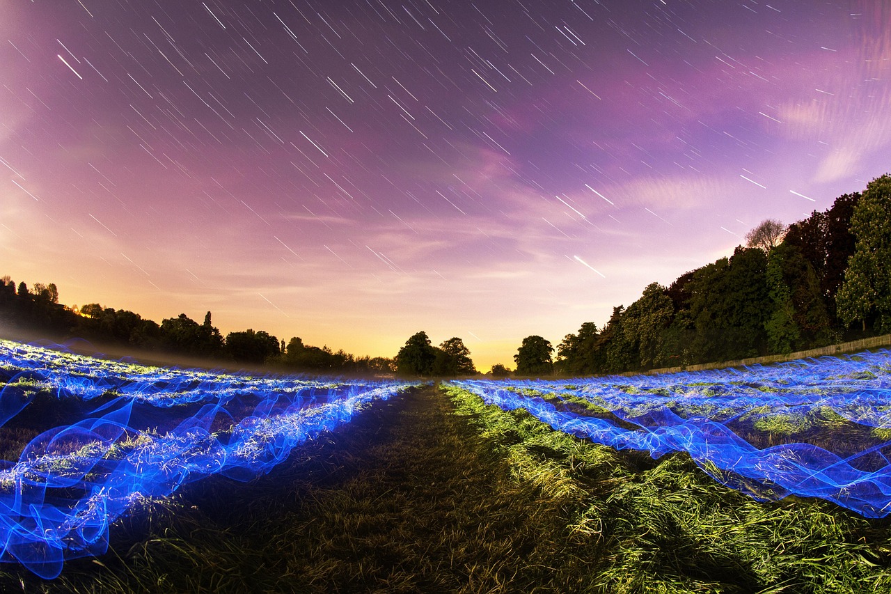 How to Choose the Perfect Foreground for Star Trails: Turning Night Skies into Captivating Compositi