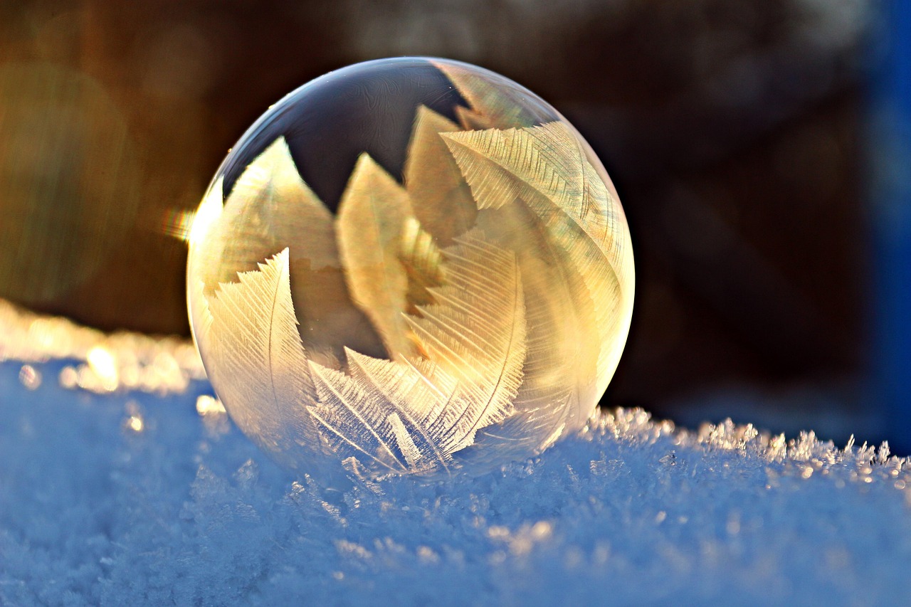 Introduction to Close-Up Photography: Discovering Beauty in the Details Around You