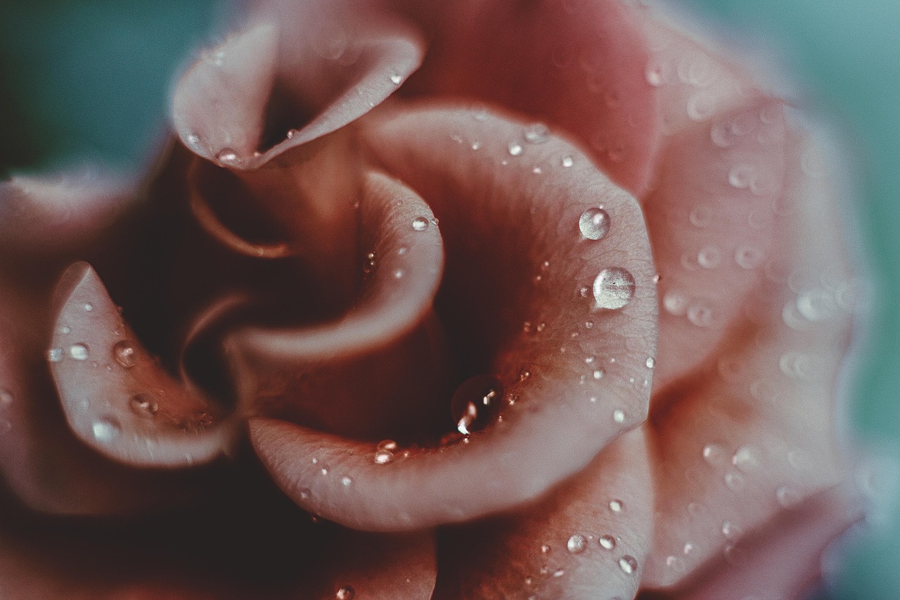 Mastering Texture Photography: How to Capture Stunning Details from Water Droplets to Fabrics