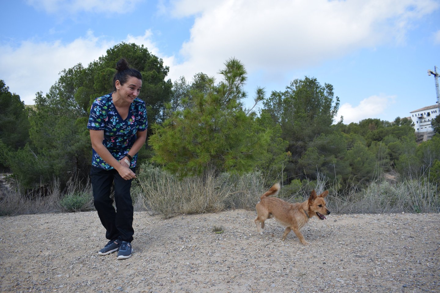 Chica jugando con un perro